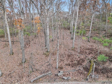 44 Mombert Dr, Manchester, MO 63021 - photo 3