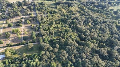 Tracts 15-17 Lakeview Dr, Spiro, OK 74959 - photo 2