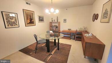 15101 Interlachen Dr unit 1315, Silver Spring, MD 20906 - photo 5