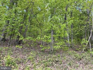 0 Cross Mountain Rd unit VAPA105960, Luray, VA 22835 - photo 5