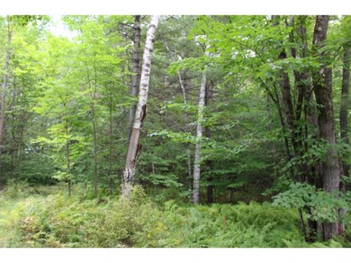 14 Littlefield Ln, New London, NH 03257 - photo 4