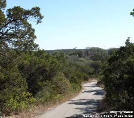 TRACT 2 Bluehill Pass, San Antonio, TX 78023 - photo 7