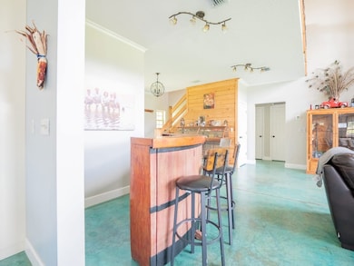 916 NW Brooks County Line Rd, Greenville, FL 32331 - photo 7