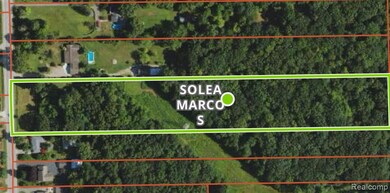 VL -  S Huron River Dr, Romulus, MI 48174 - photo 6