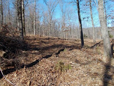 20 Acres Low Gap Rd, West Fork, AR 72774 - photo 6