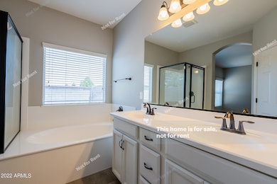 738 W Witt Ave, San Tan Valley, AZ 85140 - photo 6