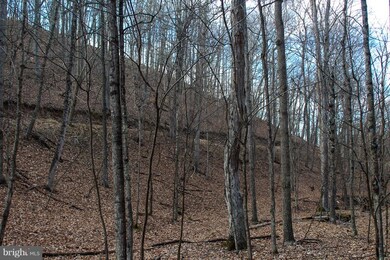 15 Ridges at Branch S, Romney, WV 26757 - photo 7