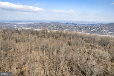 LOT 3 Old Orchard Rd, Happy Creek, VA 22642 - photo 3