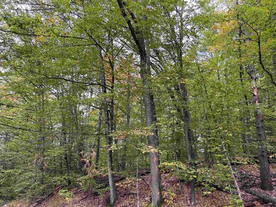 NH New Hampshire Route 175, Thornton, NH 03223 - photo 5