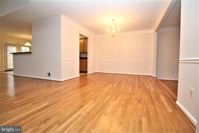 2 Bloomingdale Ct, Rockville, MD 20852 - photo 4