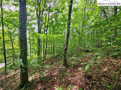 TBD Whispering Breeze Ridge, Todd, NC 28684 - photo 5