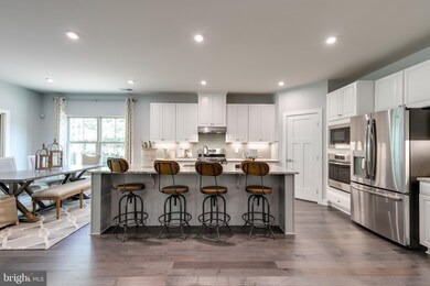 5330 Striped Maple St, Frederick, MD 21703 - photo 2