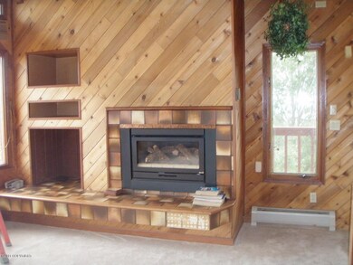 Living Room Fireplace