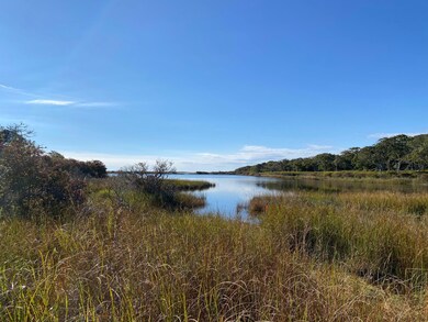 View of pond from shoreline