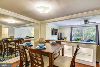 7346 Mossy Brink Ct, Columbia, MD 21045 - photo 7