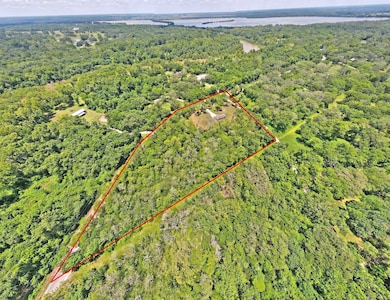 317 River Rd, Angleton, TX 77515 - photo 3