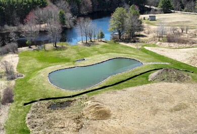 aerial cropped 7