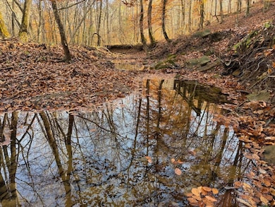 Threemile Creek Rd Lot unit Wp001, Louisa, KY 41230 - photo 2