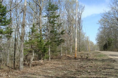 60 Bridle Trail Dr, Calvey Township, MO 63072 - photo 6