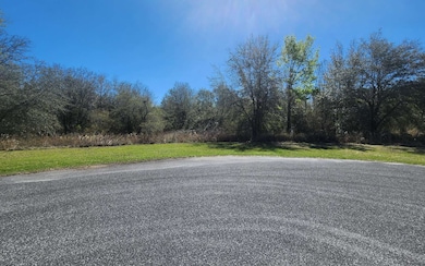 TBD 157th Point, Dowling Park, FL 32060 - photo 2