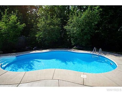 Pool In Ground. Beautiful back yard with salt wate