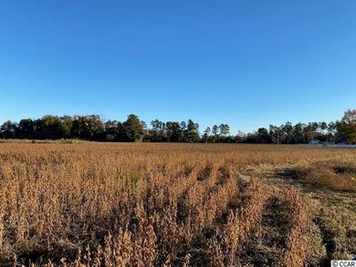 27.9 Acs Highway 65, Conway, SC 29526 - photo 4