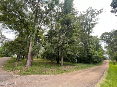 IMG-8779 (1)