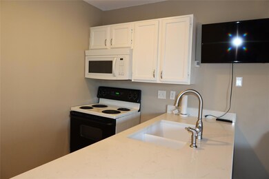 2210 Pearl St unit 303, Austin, TX 78705 - photo 5