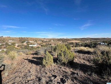 105X Mountain View Dr, Silver City, NM 88061 - photo 4