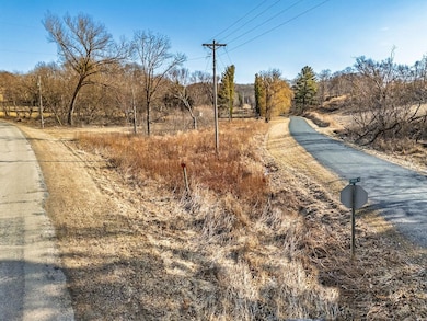 L46 Bunting E Redstone Dr, La Valle, WI 53941 - photo 4