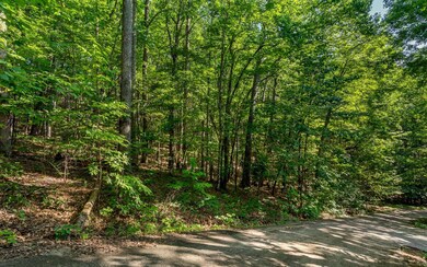 L11 Mattie Ln, Blairsville, GA 30512 - photo 6