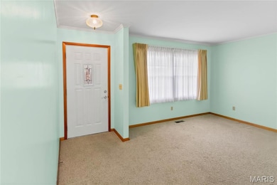 415 3rd St, Carrollton, IL 62016 - photo 5