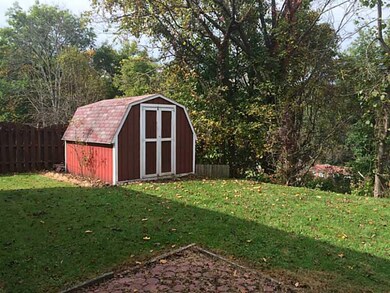 Yard/Garden.