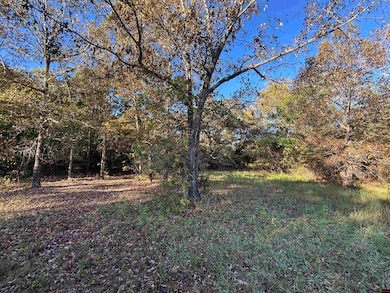 677319890006773 Timbercrest Rd, Viola, AR 72583 - photo 5