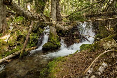 500 Spruce Trail, Bigfork, MT 59911 - photo 3