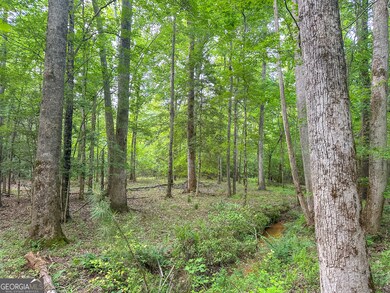 3644-3792 Fortune Hole Rd E, Hamilton, GA 31811 - photo 7