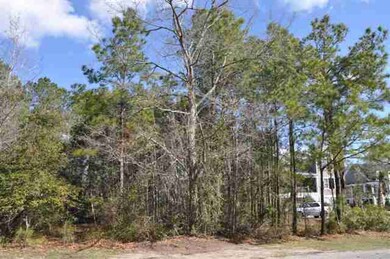 125 Calais Ave, Georgetown, SC 29440 - photo 7