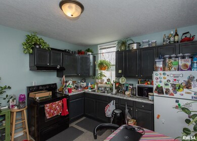 1011 17th St, Rock Island, IL 61201 - photo 4