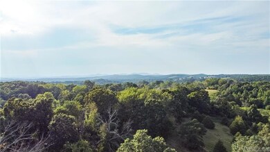 400 Fowler Spring Rd, Saint Joe, AR 72675 - photo 4