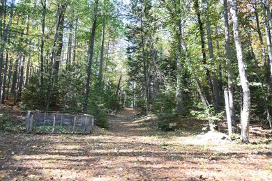Scott Trail (7)