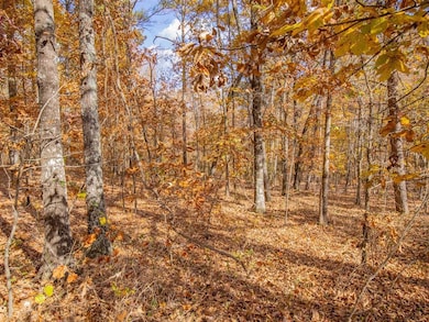 0 Galway Dr unit 7686051, Kingston, GA 30145 - photo 6