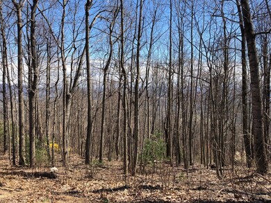 TBD Old Home Trail, Fancy Gap, VA 24328 - photo 5