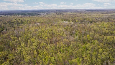 4-web-or-mls-DJI_0011