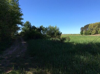 9198 W Grant St, Beaver Township, MI 49309 - photo 4