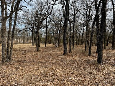 612 Roy Coffee Ct, Weatherford, TX 76087 - photo 5