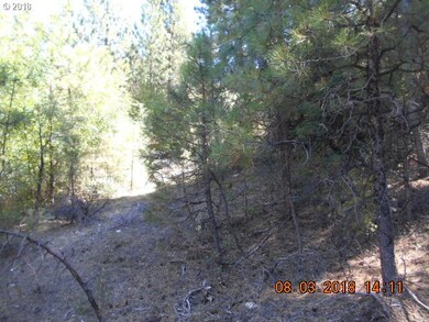 0 Gardner Ranch Ln, Canyon City, OR 97820 - photo 5