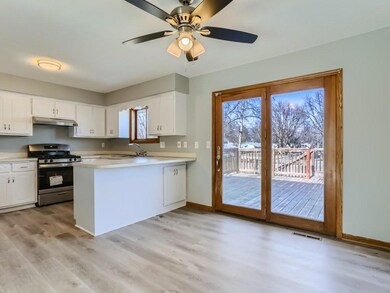 533 98th Ln NW, Coon Rapids, MN 55433 - photo 6