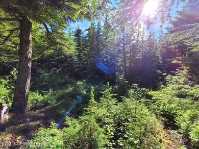 Sunny trees