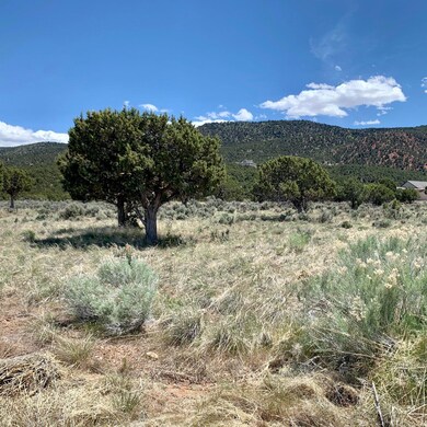 921 S 1600 W unit 1, Parowan, UT 84761 - photo 6