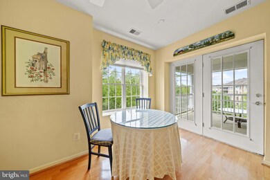 12310 Rosslare Ridge Rd unit 502, Lutherville Timonium, MD 21093 - photo 4